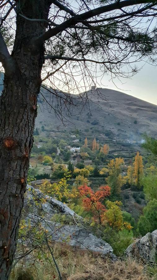 Alojamiento Rural Fuente De La Glorieta カソルラ エクステリア 写真